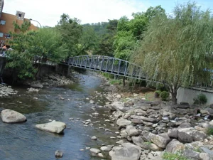 Photo from this post