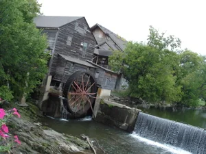 Photo from this post
