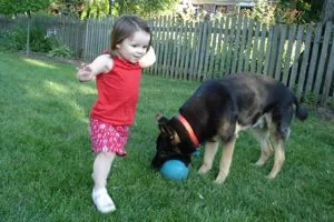 Photo from this post