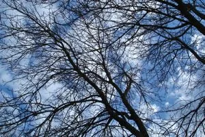 Photo from this post