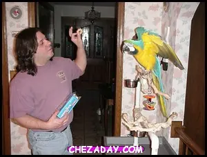 Chez-a-Birthday — photo 8 of 20